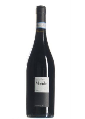Salvalai Monile Ripasso - Rött vin -Veneto - Molinara - Rondinella -Corvina